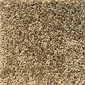 Honey Beige