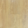 Honey Maple